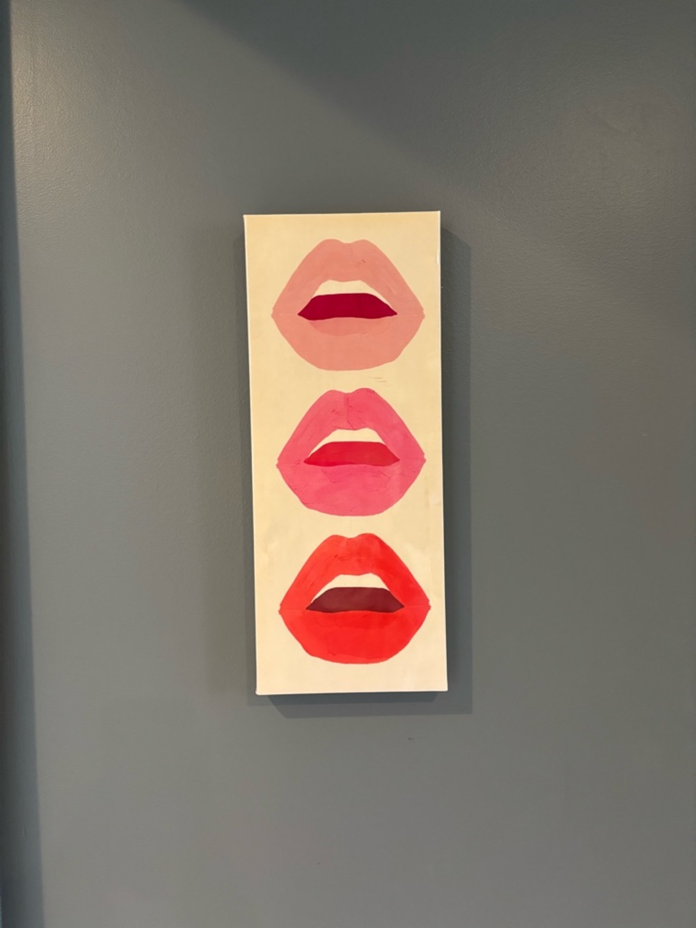 Hobby Lobby Pink Red Lip Art Wall Decor